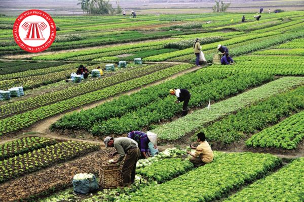 Đối tượng được miễn thuế sứ dụng đất nông nghiệp theo Nghị định 292 đầy đủ chi tiết? 