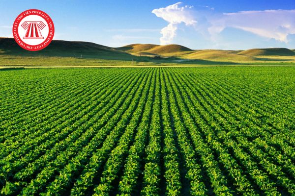 Đề xuất giảm 70% tiền chuyển đổi đất nông nghiệp sang đất ở? Thông tin cụ thể ra sao? 
