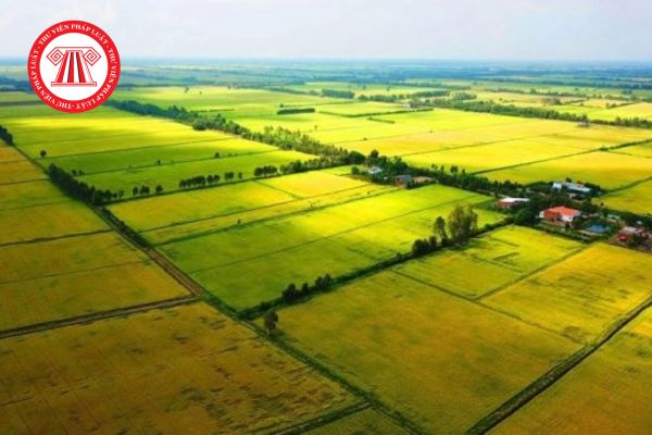 Các bước  xác nhận tiếp tục sử dụng đất nông nghiệp từ 1/7/2025? Hồ sơ, thời hạn, đối tượng, điều kiện ra sao? 