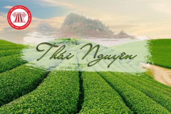 Bảng giá đất Thái Nguyên 2026 theo đề xuất mới nhất tại dự thảo bản trình thông qua? 