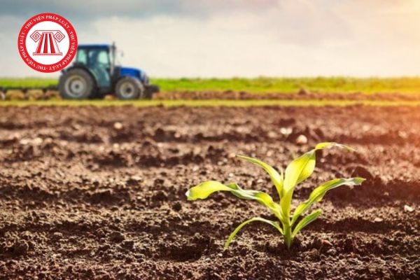 Thuế sử dụng đất nông nghiệp 2025 áp dụng cho các loại đất nào?