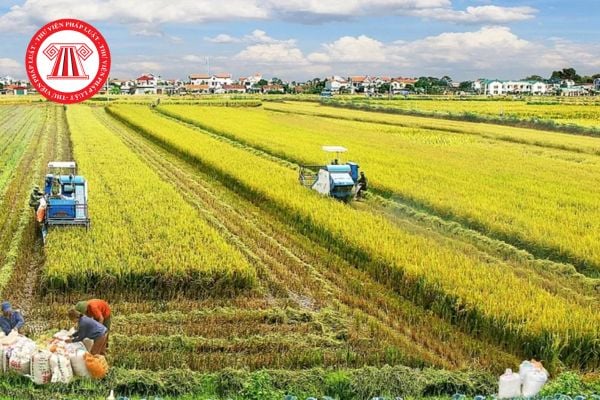 HƯỚNG DẪN Cách tính thuế sử dụng đất nông nghiệp mới nhất 2025?