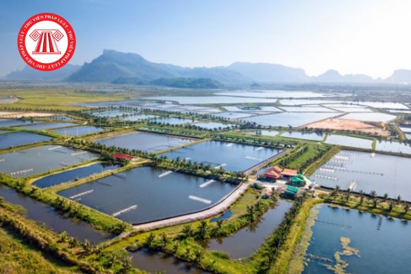 Trình tự, thủ tục miễn, giảm tiền thuê đất, thuê mặt nước từ 03/9/2025 theo Quyết định 3078 mới nhất? 