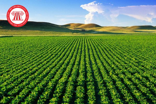 Hạn mức giao đất nông nghiệp cho hộ gia đình năm 2025 mới nhất?