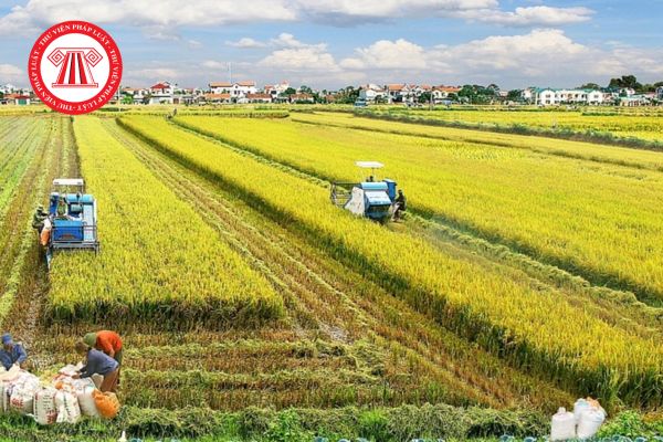 Tờ khai thuế sử dụng đất nông nghiệp mới nhất cập nhật sửa đổi theo Thông tư 40 2025
