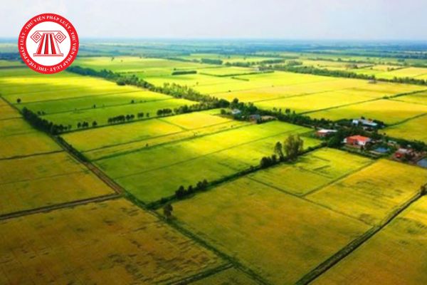 Tải file Nghị quyết 254/2025/QH15 về tháo gỡ khó khăn vướng mắc trong thi hành Luật Đất đai cập nhật mới nhất?
