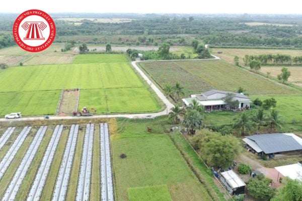 Điều kiện xây dựng công trình phục vụ trực tiếp sản xuất nông nghiệp trên đất trồng lúa?