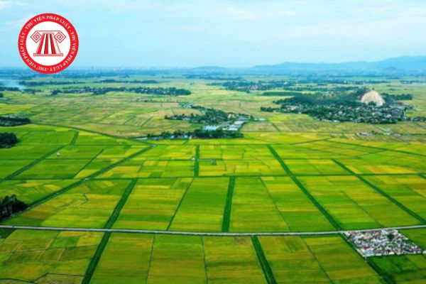 Các điều khoản được bãi bỏ của các Nghị định hướng dẫn Luật Đất đai 2024 theo Nghị định 226? 