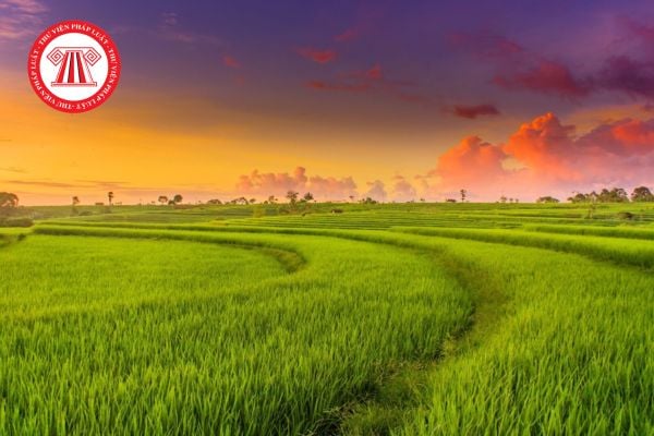 Bảng giá đất trồng lúa tại tỉnh Thái Nguyên 2026 theo Nghị quyết 33/2025/NQ-HĐND mới nhất? 