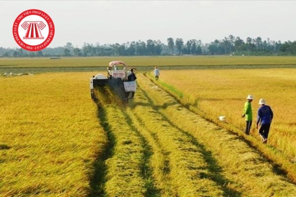 Mức hỗ trợ cho một nhân khẩu khi bị thu hồi đất nông nghiệp 2025 được tính như thế nào?