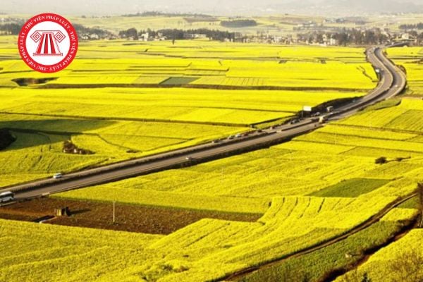 Những quy định về đất trồng lúa mới nhất có hiệu lực từ 15/08/2025? 