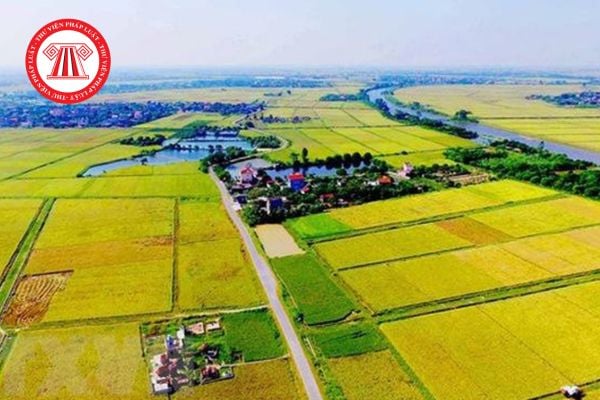 Tải file mẫu 01/MGTH đơn đề nghị miễn giảm thuế sử dụng đất nông nghiệp từ 14/10/2025 mới nhất? 
