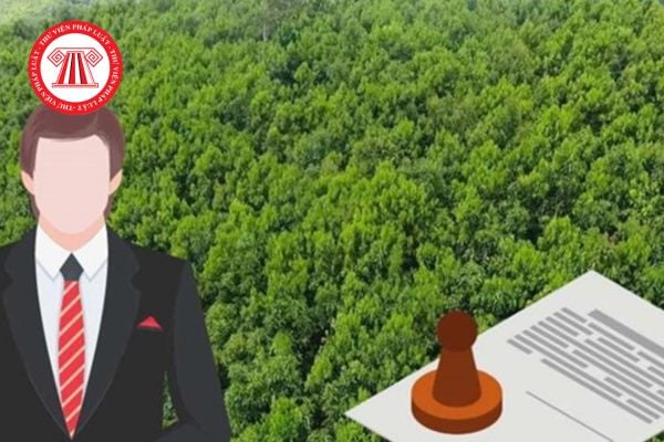 Các trường hợp giao đất không thu tiền sử dụng đất năm mới nhất năm 2025?