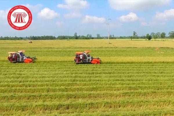Chi tiết quy trình tách thửa đất nông nghiệp 2025 mới nhất?