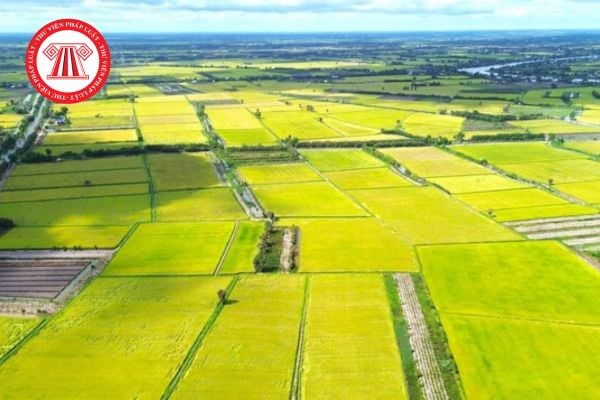 Thuế đất là gì? Ai phải nộp Thuế sử dụng đất năm 2025 theo quy định mới nhất? 