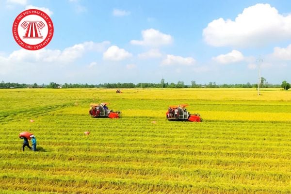 Bảng giá đất nông nghiệp tại tỉnh Quảng Ninh năm 2026 chính thức mới nhất? 