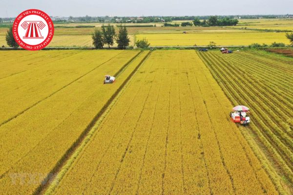  Khái niệm và mã ký hiệu của đất trồng lúa? Chuyển đổi đất trồng lúa trái phép bị phạt bao nhiêu tiền?