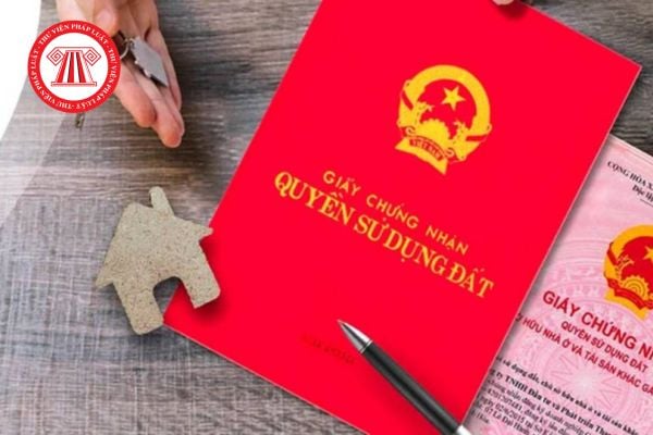Mẫu đơn xin xác nhận đất không có tranh chấp 2025 mới nhất?
