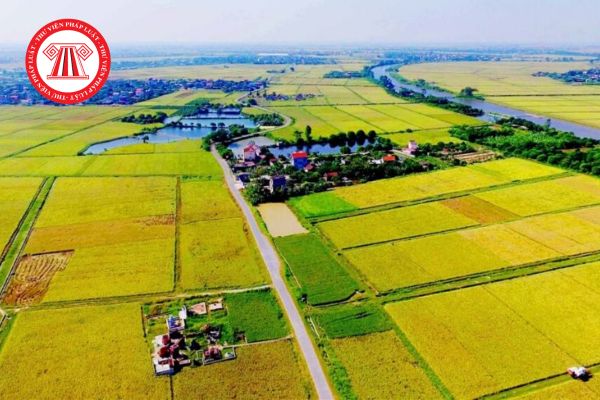 Mức xử phạt khi chuyển đổi quyền sử dụng đất nông nghiệp không có sổ đỏ là bao nhiêu?