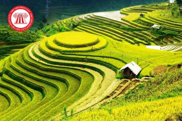 Bảng giá đất nông nghiệp Lào Cai 2026 chính thức mới nhất? Tải file Bảng giá đất nông nghiệp Lào Cai 2026 đầy đủ? 