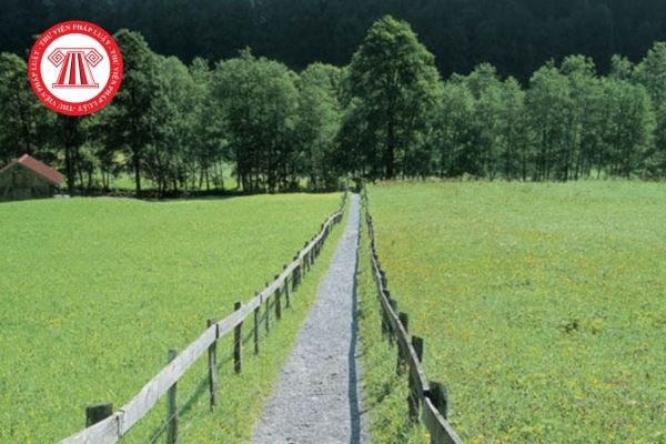 Lối đi qua  trong đất đai là gì? Lấn chiếm lối đi qua bị phạt bao nhiêu tiền?