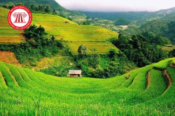 Hướng dẫn khai tờ khai thuế sử dụng đất phi nông nghiệp mẫu số 01 chi tiết nhất năm 2025?