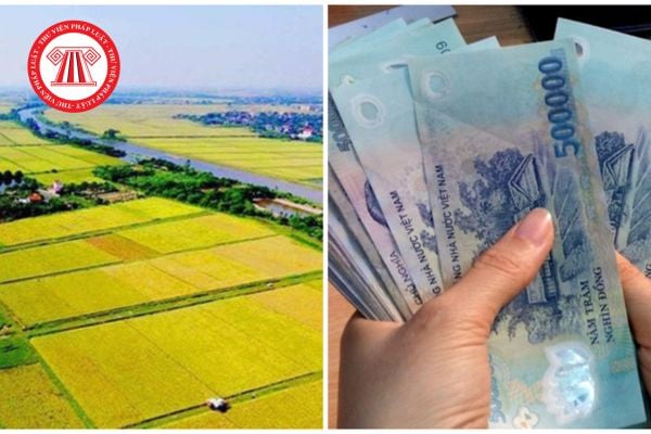 Cách khai tờ khai thuế sử dụng đất phi nông nghiệp Mẫu 02 sửa đổi mới nhất 2025?