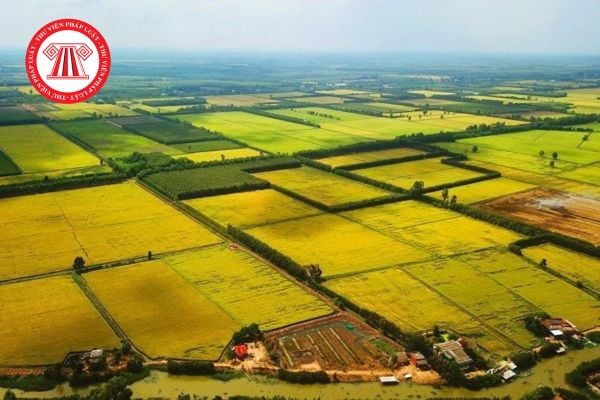 Đất nông nghiệp có phải là đất sử dụng có thời hạn không? Quy định ra sao? Thủ tục gia hạn như thế nào?