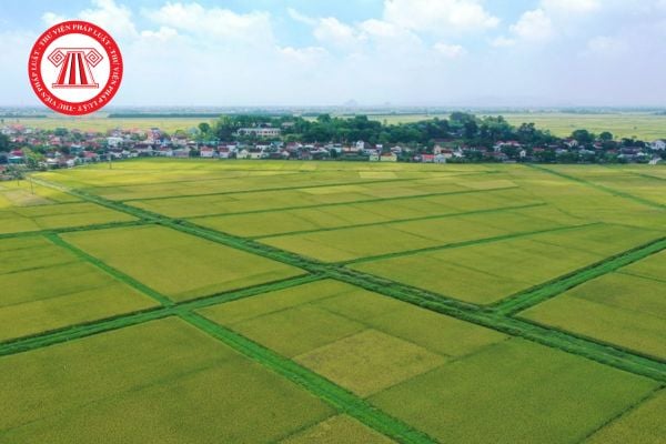 Các yếu tố ảnh hưởng đến giá đất nông nghiệp chi tiết nhất? 