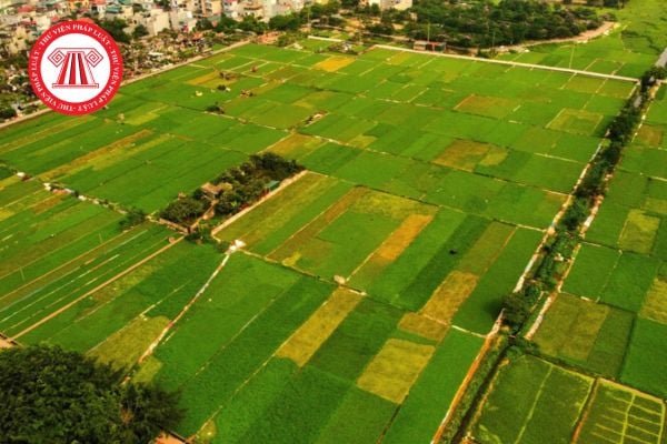  Tách thửa đất nông nghiệp tại Hà Nội năm 2025: Điều kiện và diện tích tối thiểu được quy định ra sao?