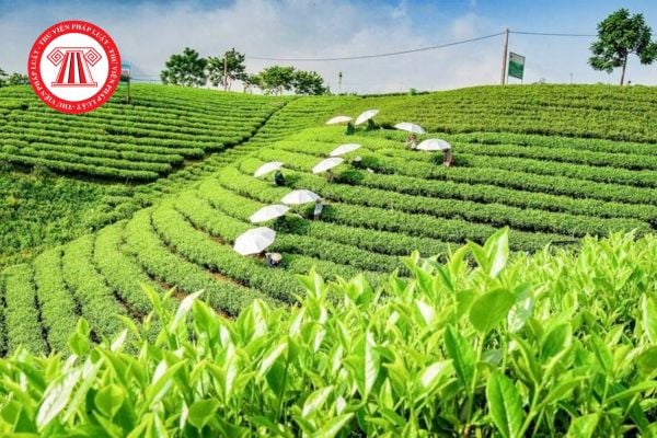 Bảng giá đất Thái Nguyên năm 2026 theo dự kiến? Tải về File dự thảo mới nhất? 