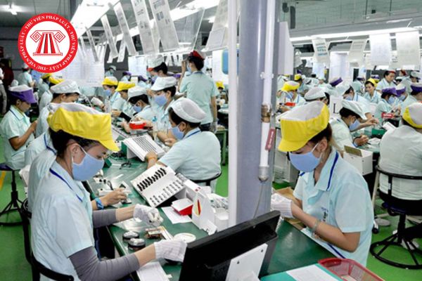 Link nộp báo cáo tình hình sử dụng lao động năm 2025 cập nhật mới nhất? 