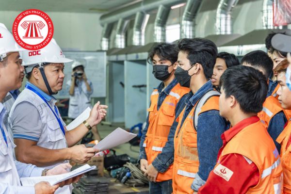 Cách nộp báo cáo tình hình sử dụng lao động năm 2025 Online chi tiết nhất? 