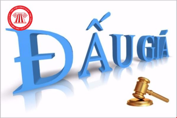 Đấu giá đất Vĩnh Phúc tháng 6 2025: Những lô đất đấu giá lên sàn thuộc huyện nào? Ví trí, giá khởi điểm ra sao?