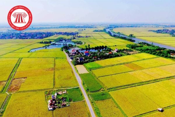 Điều kiện chuyển quyền sử dụng đất đối với tổ chức kinh tế được nhận chuyển nhượng quyền sử dụng đất nông nghiệp từ 1/7/2025?