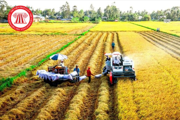 Hỏi đáp Pháp luật
