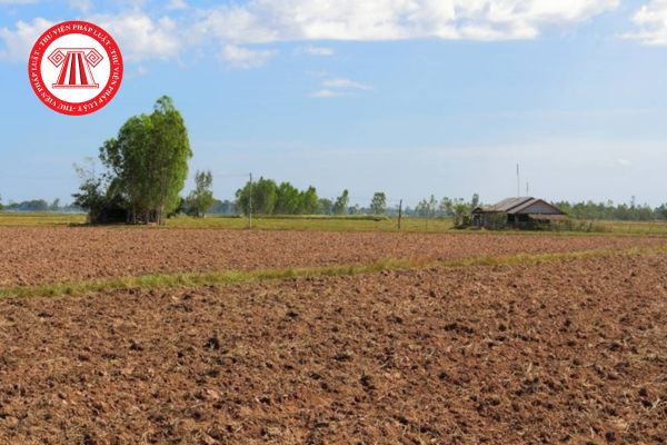 Đất nông nghiệp bỏ hoang bị thu hồi có được bồi thường về đất không?