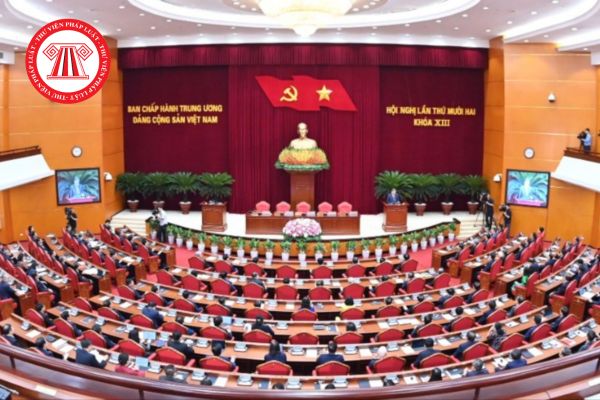Hướng dẫn cách viết ưu điểm kết quả đạt được trong bản kiểm điểm tập thể chi ủy chi bộ năm 2025? 