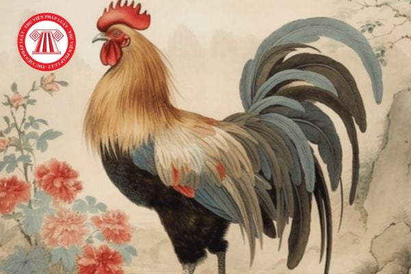 Người sinh năm 1969 xây nhà hướng nào thì tốt?1969 năm nay 2025 bao nhiêu tuổi? 