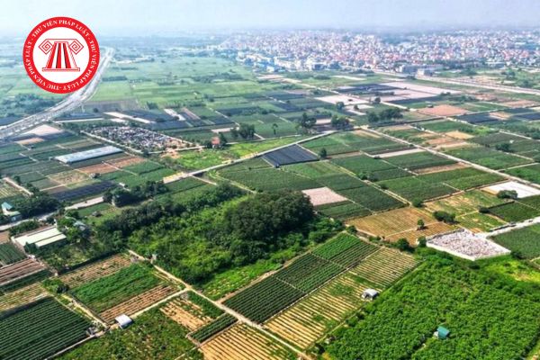 Đấu giá đất Hưng Yên tháng 6/2025 ở đâu? Thời gian, giá khởi điểm ra sao?