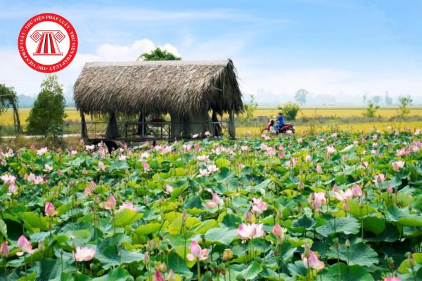 Dự thảo bảng giá đất tỉnh Đồng Tháp 2026 bản trình thông qua chi tiết nhất? Tải về? 