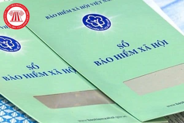 Cập nhật số căn cước công dân vào sổ bảo hiểm xã hội như thế nào?
