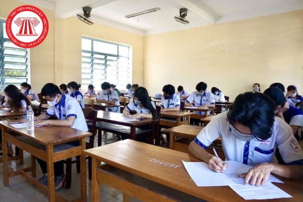 Đề Khảo sát môn Sinh 12 Hà Nội 2025 mới nhất?