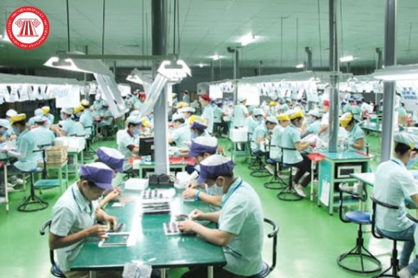Hỏi đáp Pháp luật
