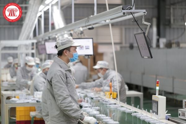 Hỏi đáp Pháp luật