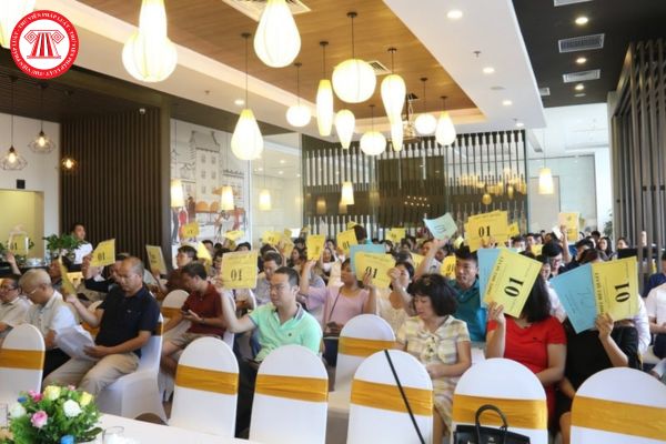 Hỏi đáp Pháp luật