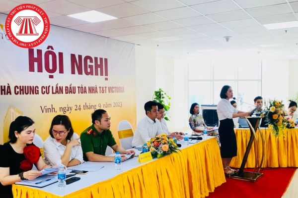 Hỏi đáp Pháp luật