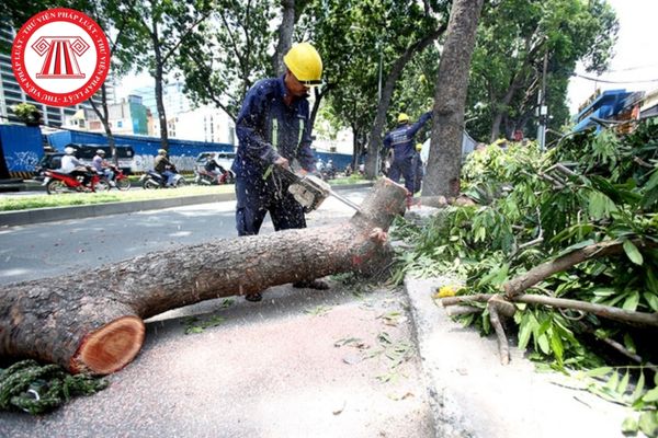 Pháp Luật Nhà Đất