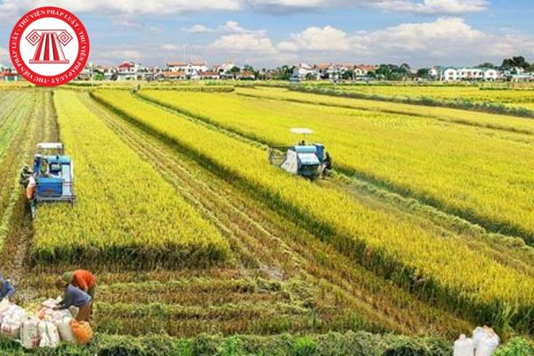 Pháp Luật Nhà Đất