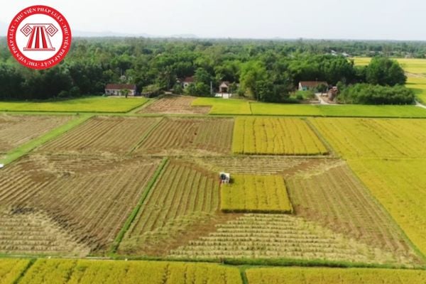 Hỏi đáp Pháp luật